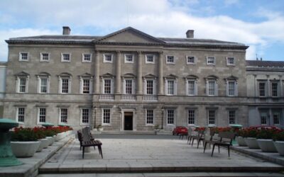 Meetings in Oireachtas